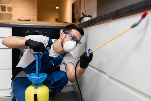 Pest Control for Restaurants in Almont, MI