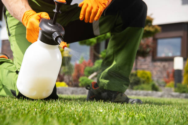 Best Affordable Pest Control Services  in Almont, MI