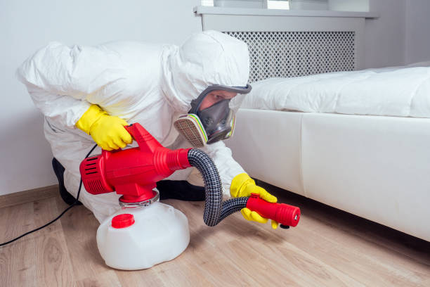 Best Cockroach Control Services  in Almont, MI
