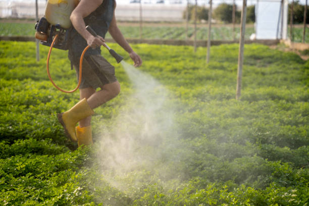Pest Control Cost in Almont, MI