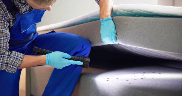 Best Wasp Removal Services  in Almont, MI