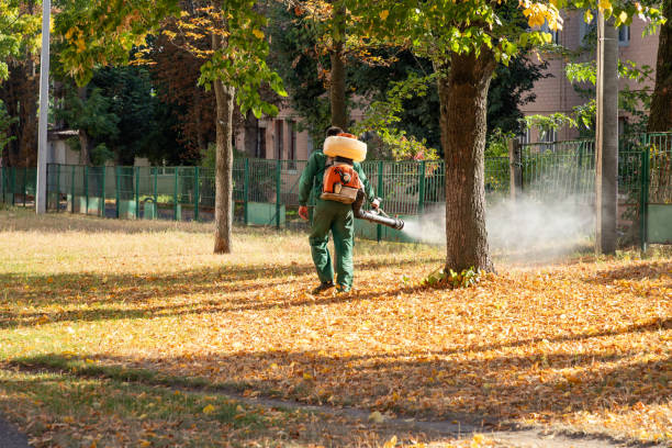 Bird Control in Almont, MI