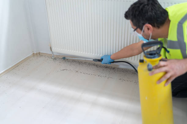 Best Affordable Pest Control Services  in Almont, MI