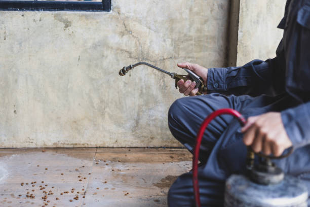 Best Best Pest Control Companies  in Almont, MI
